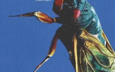 Ausgabe Juni 2026: Auslese. Marias Bücherblog